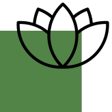 Massagem Relaxante Capim-Limão Alfazema