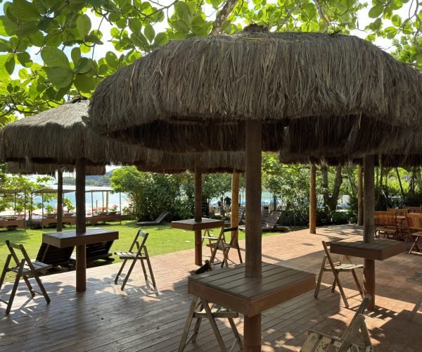 Foto 16-11-2024, 14 45 26