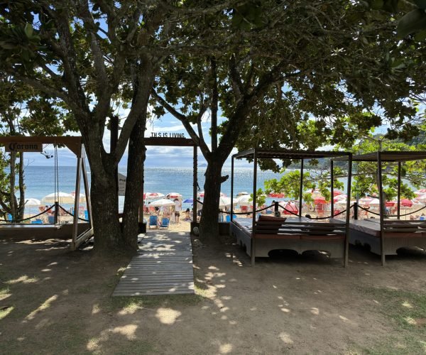 Foto 16-11-2024, 14 46 01